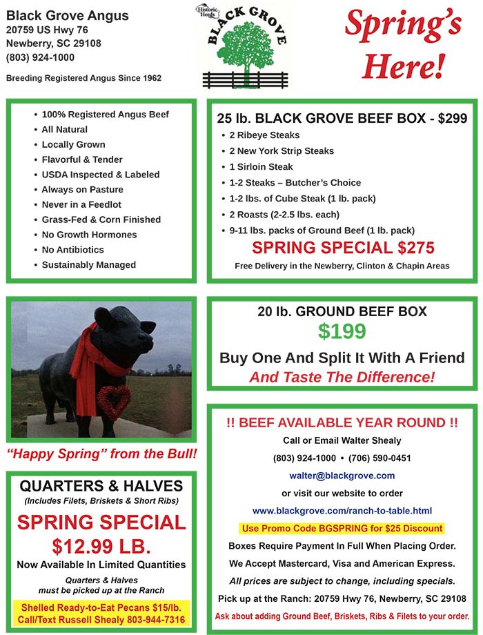 Spring Flyer Page 1